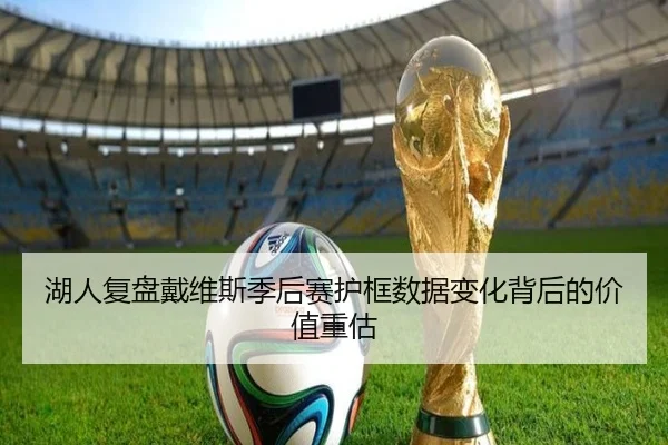 湖人复盘戴维斯季后赛护框数据变化背后的价值重估